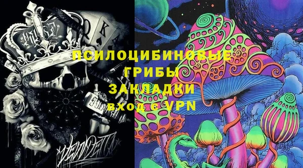 ПСИЛОЦИБИНОВЫЕ ГРИБЫ Вязьма