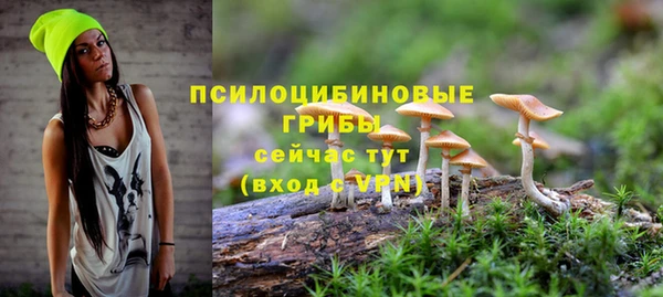мдма Вяземский