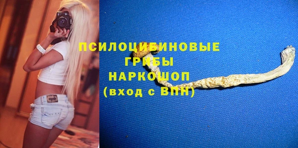 ПСИЛОЦИБИНОВЫЕ ГРИБЫ Вязьма