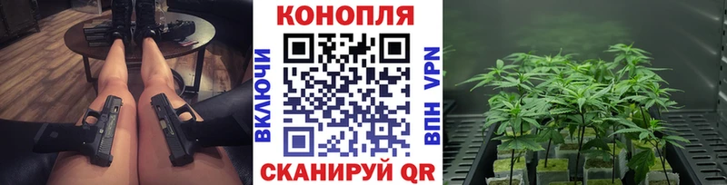 купить   Ивангород  Конопля SATIVA & INDICA 